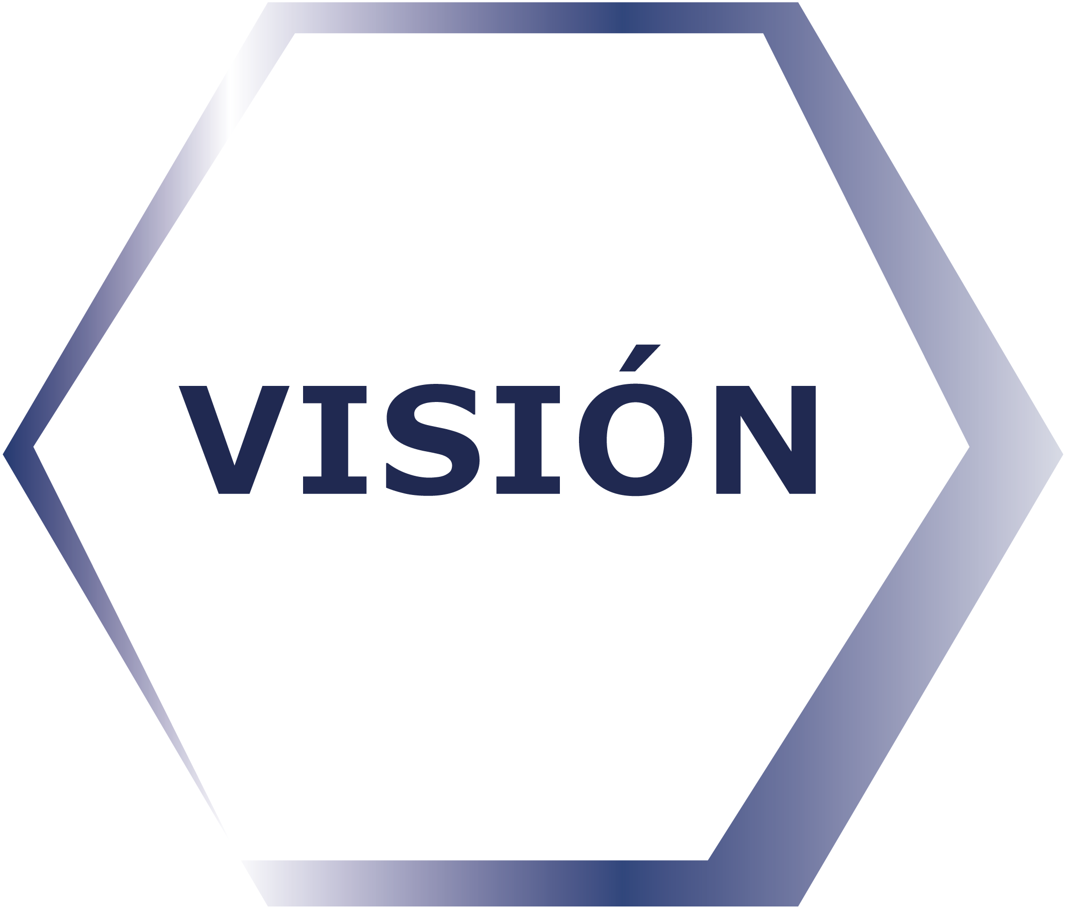 Imagen Vision